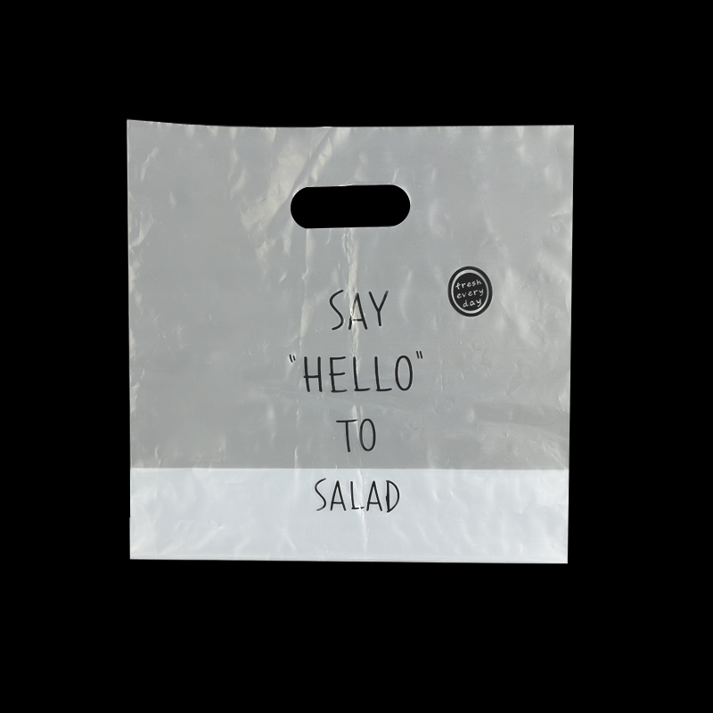 Transparent Plastic Handbag